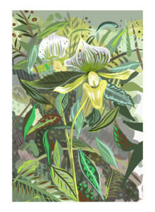 Green Orchid