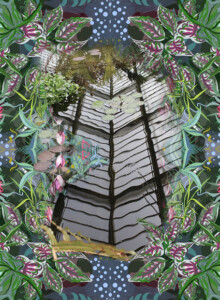 Hothouse Reflection