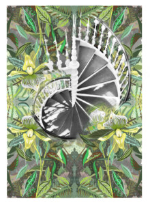 Spiral Staircase
