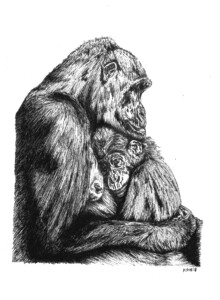 Gorilla Love
