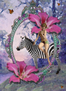 Zebra Riding