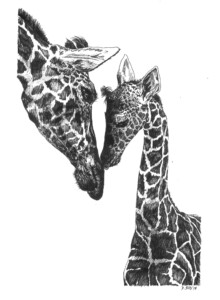 Giraffe Love